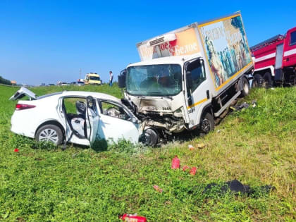 В Татарстане в результате столкновения такси и грузовика погибли два человека