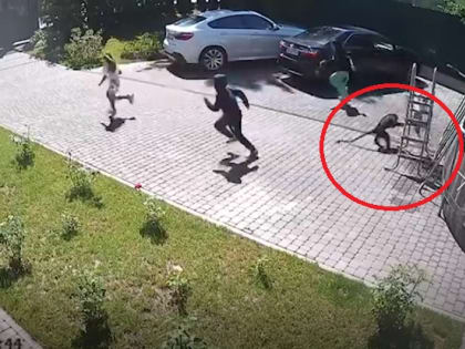 Минздрав: Состояние пережившей нападение обезьяны девочки оценивается как тяжелое