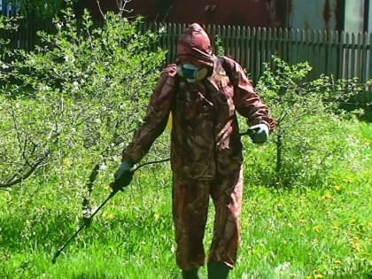 В Менделеевском районе начнутся работы по обработке территорий от клещей.