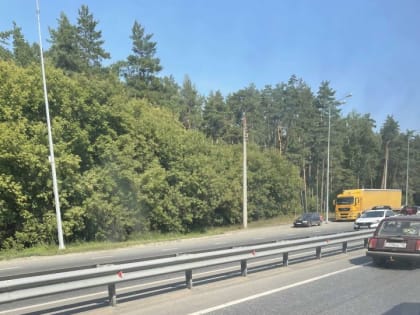 С начала года в РТ вдоль трассы М7 «Волга» демонтировали 26 незаконных рекламных конструкций