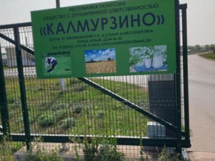Специалистами Управления Россельхознадзора по Республике Татарстан проведен мониторинг карантинного фитосанитарного состояния территории ООО «Калмурзино» Мензелинского района РТ
