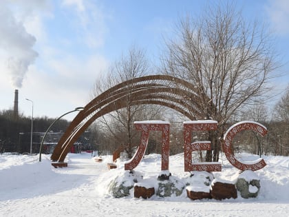 В Горкинско-Ометьевском лесу проведут соревнования на радиоуправляемых машинках