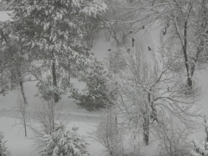 В Татарстане ожидается небольшой снег и порывистый ветер