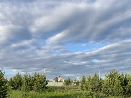 У предпринимателя и компании заберут участки ради Вознесенского тракта