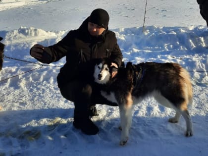 В Лениногорске побывал выездной лагерь хаски