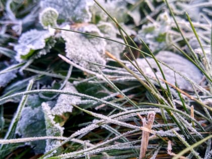 Ночью в Татарстане прогнозируют заморозки до 0 градусов