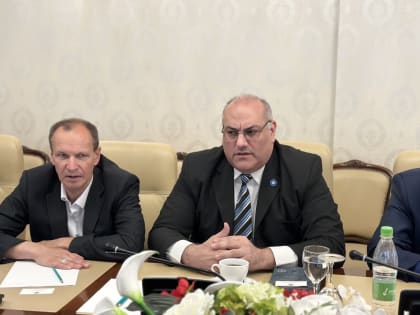 Аргентинские компании заинтересованы в налаживании связей с КАМАЗом и КВЗ