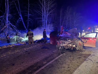 В Бугульминском районе Татарстана на трассе в ДТП погибли 2 человека