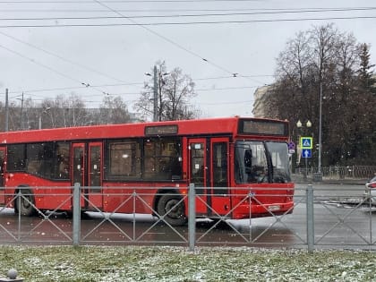 Прокуратура проверит высадку казанской школьницы из автобуса на мороз