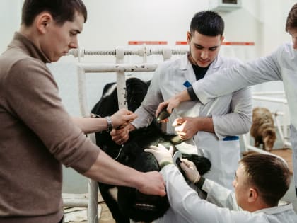 Конкурс профессионального мастерства среди молодых специалистов сельского хозяйства "Лучший по профессии" завершен!