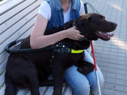 Об обучении собак-проводников расскажут на открытой лекции в парке «Черное озеро»