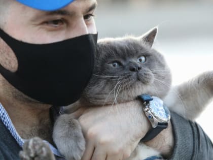 Суточный прирост по коронавирусу в России впервые с конца марта составил почти 29 тысяч случаев