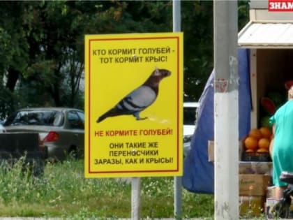 Голуби разделили альметьевцев на два противоборствующих лагеря