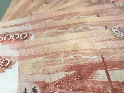 Волынец попросила выделить деньги на проект закона о многодетных семьях