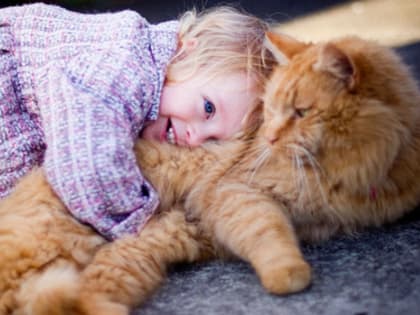 О профилактике микроспории