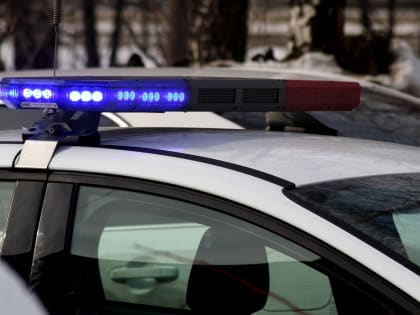 В ДТП под Челнами пострадали мать и 4 детей