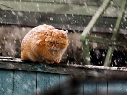 Порывистый ветер до 22 м/с и метель ожидаются в Татарстане в начале рабочей недели