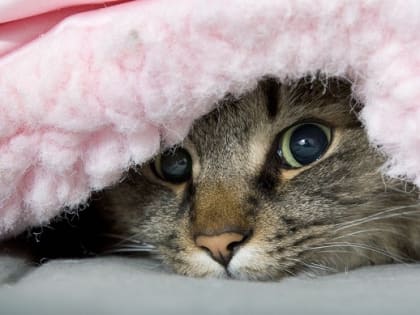 Гололед и снег: прогноз погоды в Татарстане на 5 ноября