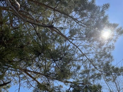 26 апреля:Чем знаменателен день