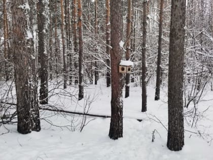 4 января - день Анастасии Узорешительницы