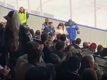 Болельщица «Ак Барса» пострадала во время игры