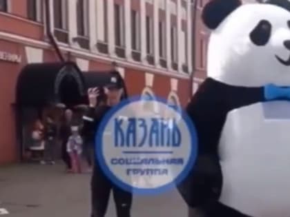Место «коней» и «зебр» на Баумана заняли «панды»