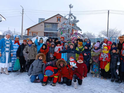 В городе стартовали дворовые ёлки (График)