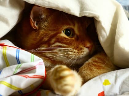 В начале выходных в Татарстане ожидаются небольшие дожди и похолодание до -4 градусов