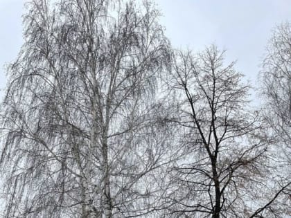 23 ноября: Чем знаменателен день