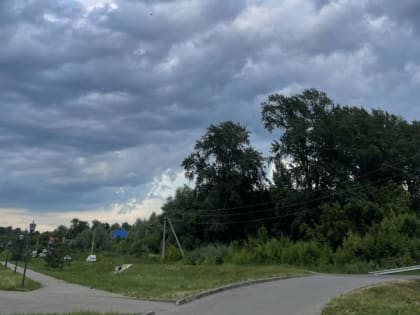 В Татарстане ожидается сильный ветер и туман