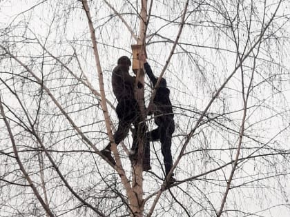 В Нижнекамске во дворе многоэтажек создали экозону со скворечниками