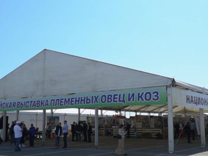 Делегация Главного управления ветеринарии Кабинета Министров Республики Татарстан принимает участие в  XXIV Российской выставке племенных овец и коз которая проходит