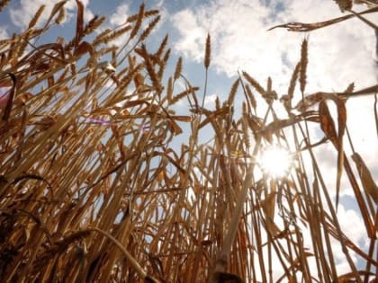 На территории Лениногорского района введен режим ЧС