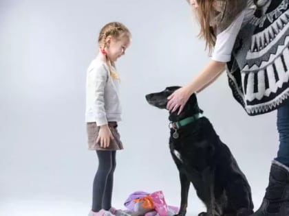 В Казани запускают занятия по канистерапии