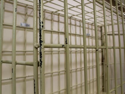 Двух казанцев приговорили к 36 годам колонии за убийство старушки