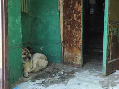 В Татарстане температура воздуха в начале недели опустится до 18 градусов мороза