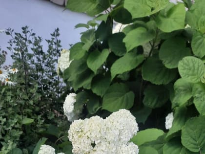 Народные приметы на 27 июля: что можно и чего нельзя делать в этот день