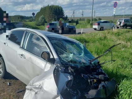 В ДТП на трассе в Татарстане погибла 10-летняя девочка. Возбуждено дело