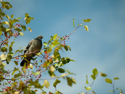 В последний день лета в Татарстане потеплеет до +22
