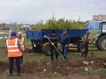 В Камских Полянах трудятся озеленители
