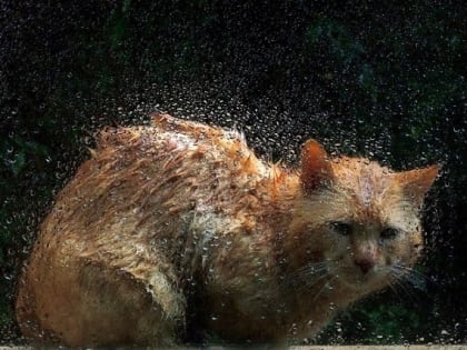 Остужающие жару грозовые ливни и мощный ветер накроют Татарстан в последний день весны