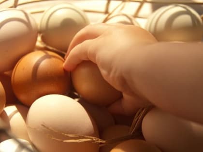В Татарстане уровень заболеваемости сальмонеллезом вырос почти на треть