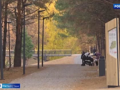 В Челнах представят проект благоустройства парка «Прибрежный»