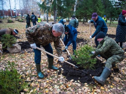 В парке Победы Набережных Челнов высадили 350 елей
