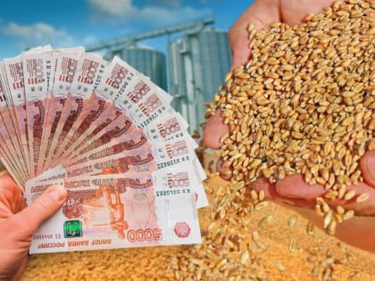 Государственная поддержка сельхозтоваропроизводителей