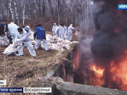 В Тукаевском районе РТ из-за птичьего гриппа уничтожили всех домашних птиц