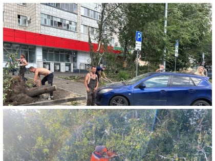 Мэрия Казани ликвидирует последствия урагана — фото