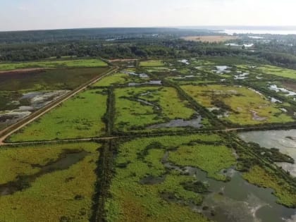 Берег Волги в рамках нацпроекта освободят от 100 га опасного канализационного ила