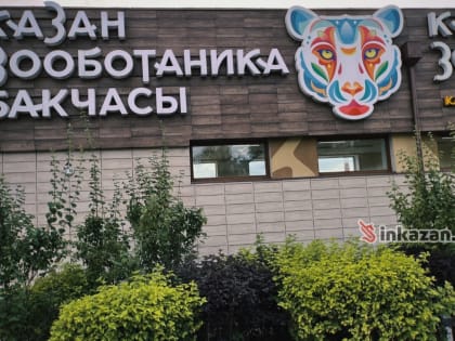 Как выглядит казанский зоопарк без слона — фото