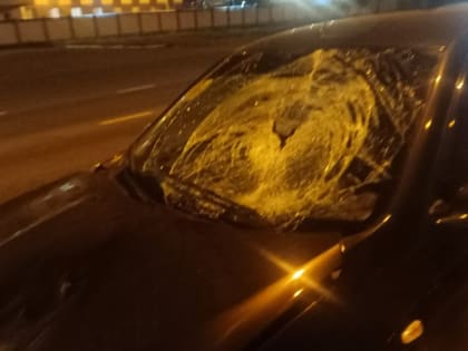 На Мамадышском тракте в Казани 73-летний житель насмерть сбил пешехода